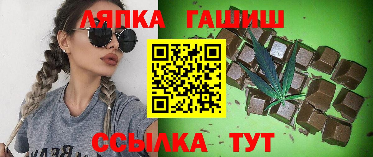 ГАШ Электрогорск